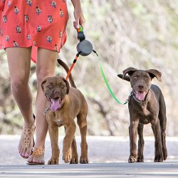 Wigzi Dual Doggie - automatische dubbele lijn