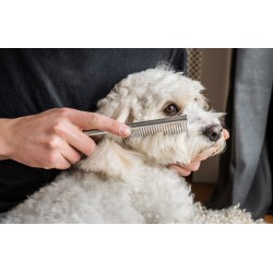 Mikki Doodle Grooming Kit