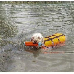 Chuck It Amphibious Bumper