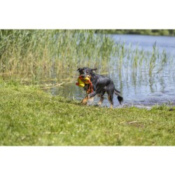 Aqua Toy Eend aan touw