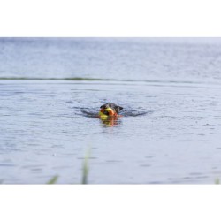 Aqua Toy Eend aan touw