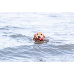 Aqua Toy Vuurtoren aan Koord