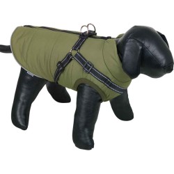 Nobby Hondenjas Groen Salus