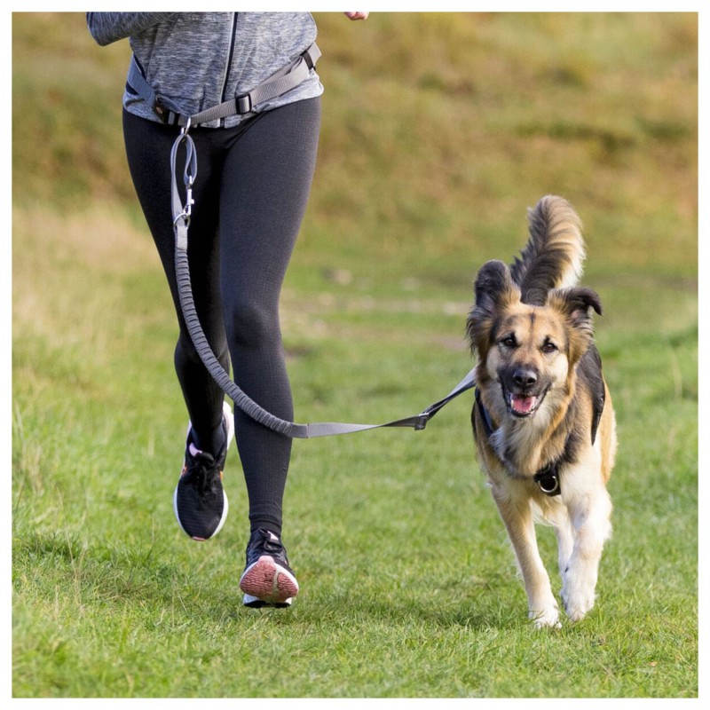 Trixie Jogginglijn