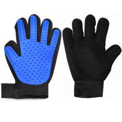 Borstel handschoen rechterhand