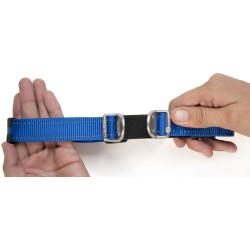 Rogz for Dogz – Safety Collar