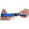 Rogz for Dogz – Safety Collar
