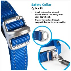 Rogz for Dogz – Safety Collar